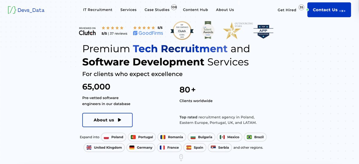 DevsData LLC website screenshot